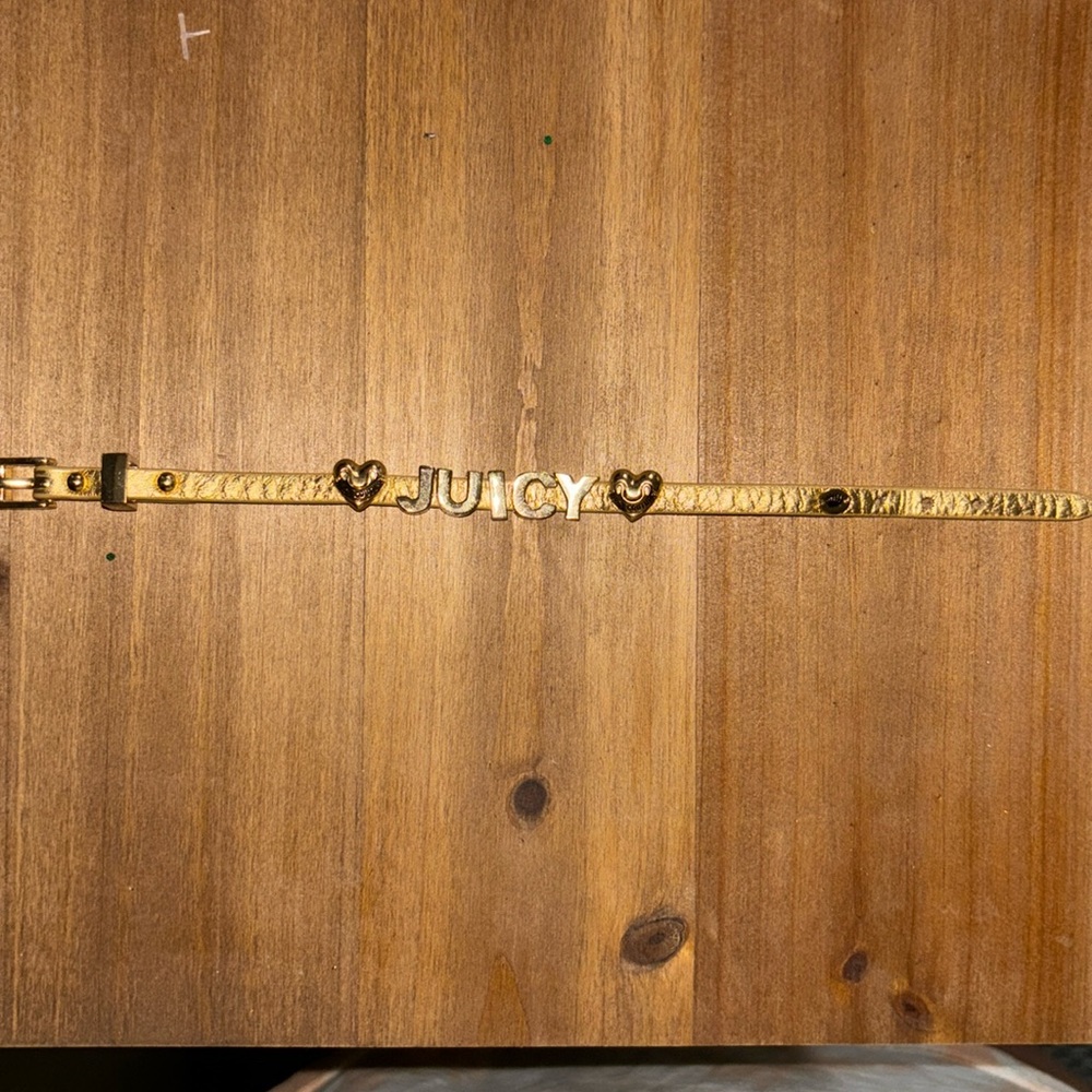 Juicy Couture bracelet